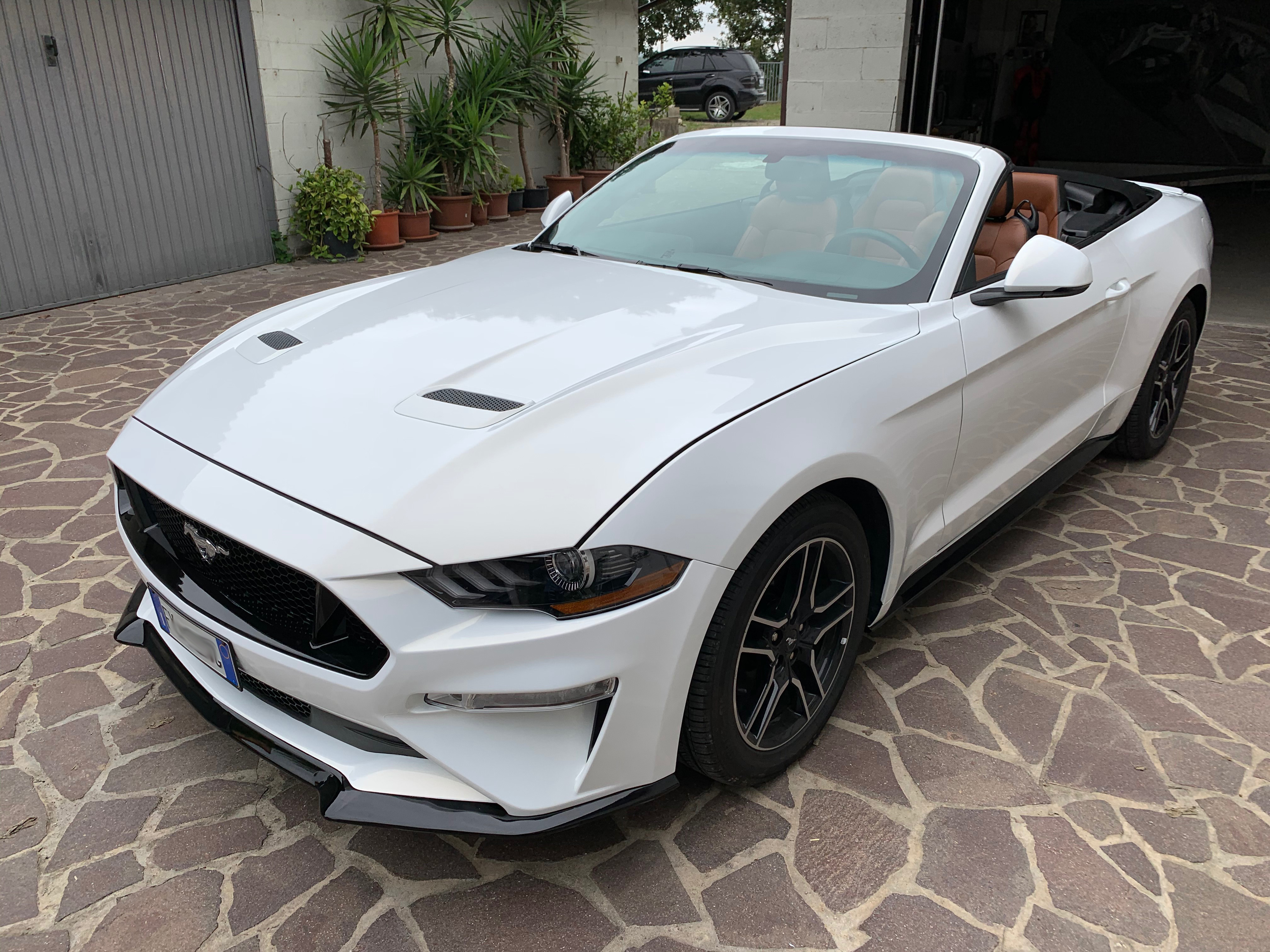 Mustang total Wrap