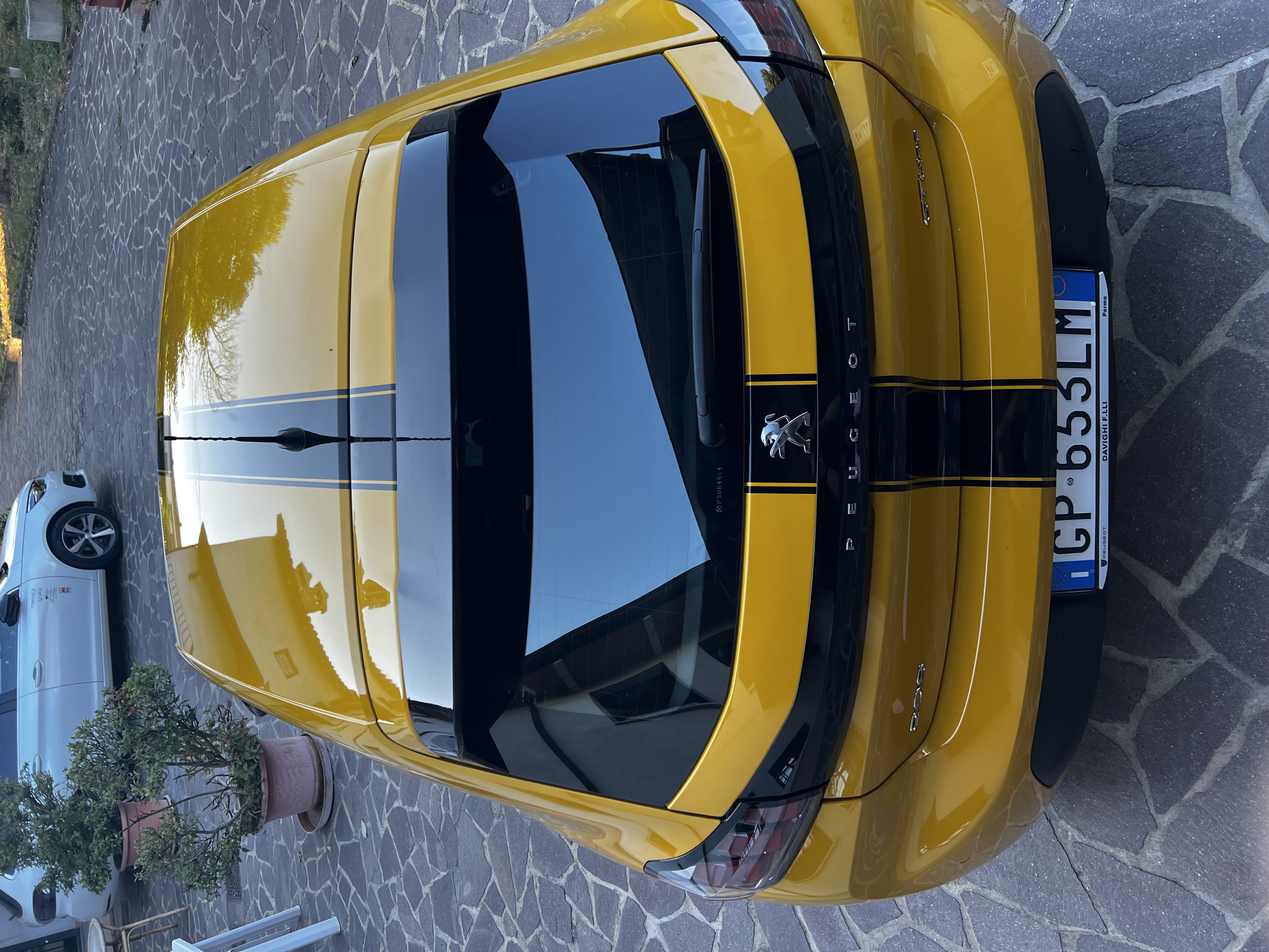 Livrea Peugeot 205