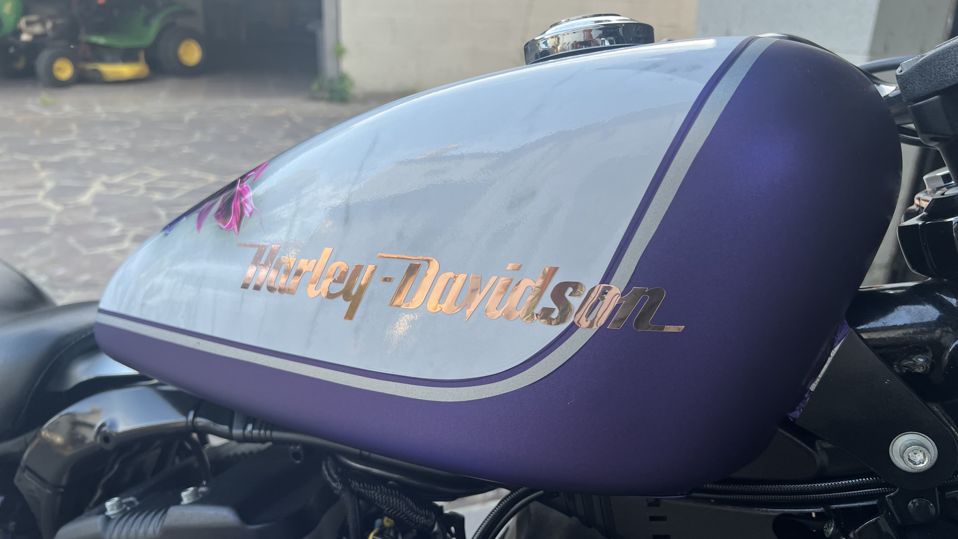 Harley 883