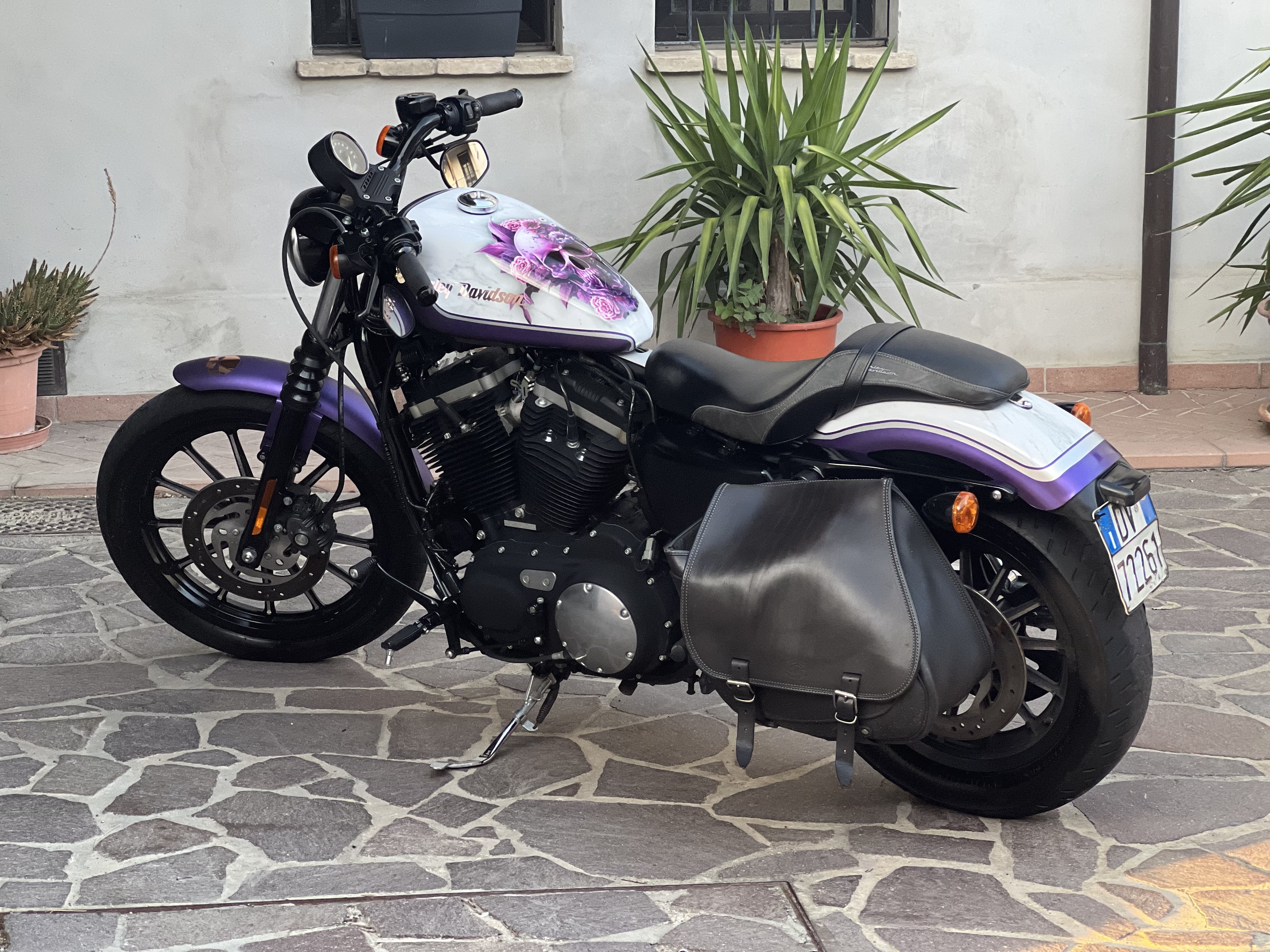 Harley 883